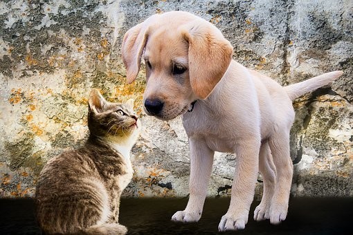 ひとりぼっちで寂しい時に孤独感を紛らわせる方法22選