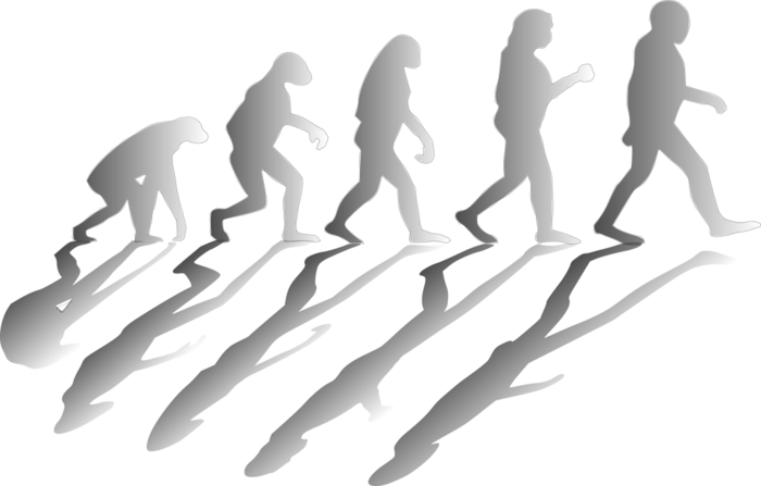 珍渦虫の正体と特徴・繁殖の仕方・紫色の靴下と呼ばれる理由