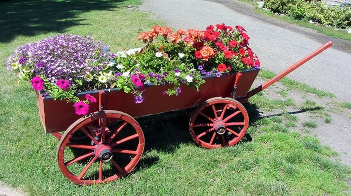 【花別】寄せ植えのコツ・プランターへの寄せ植えのコツ