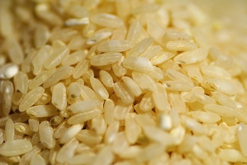 玄米の精米の仕方・重さはどれぐらい減るのか・特徴と違い