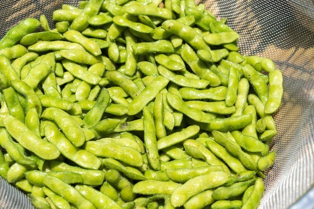 【種類別】枝豆の育て方｜苗/プランター/室内・ベランダ