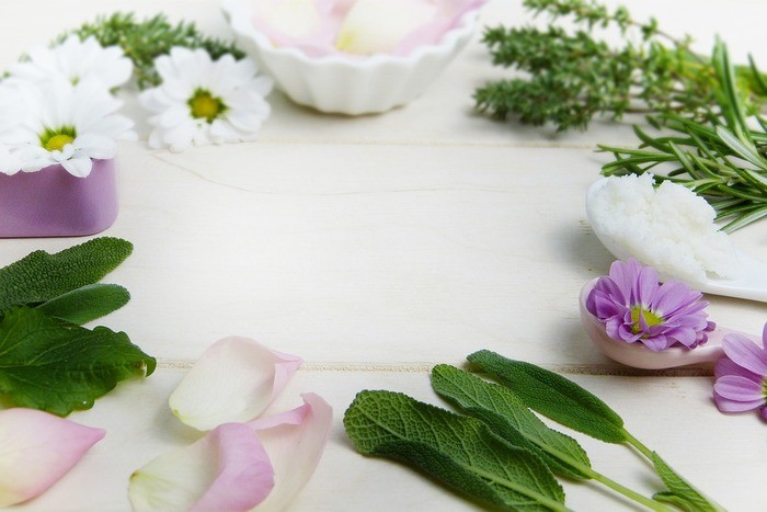 ハーブの虫除けの効果・ハーブの虫除けスプレー｜蚊/ゴキブリ