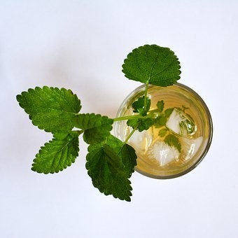 ノンカフェインのお茶の15選｜氷水出し方法