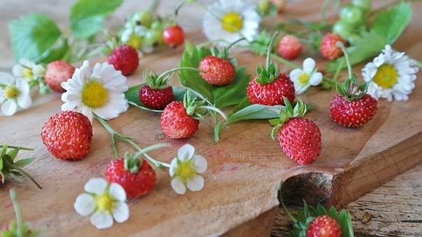 の野いちごの種類・育て方・花言葉｜花/苗/葉/栽培